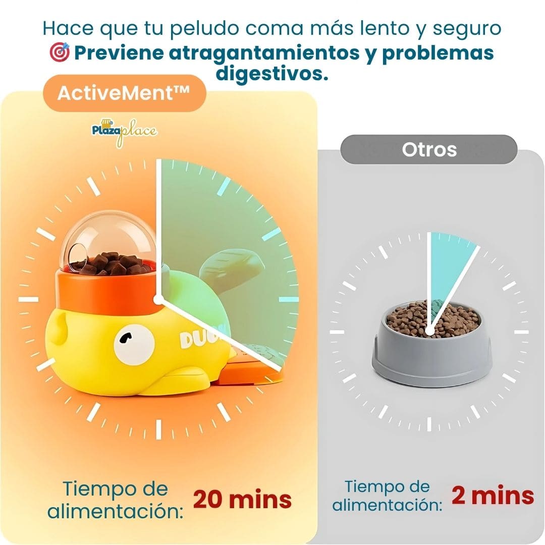 Encabezado