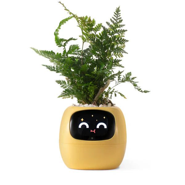 Tu planta más viva y feliz 🌼 Familia Plantopía®