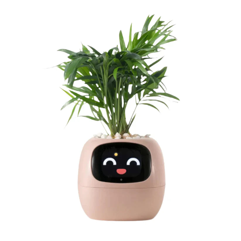 Tu planta más viva y feliz 🌼 Familia Plantopía®