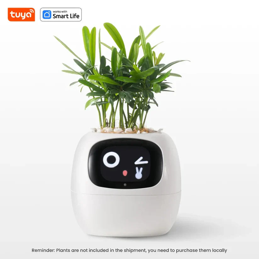 Tu planta más viva y feliz 🌼 Familia Plantopía®