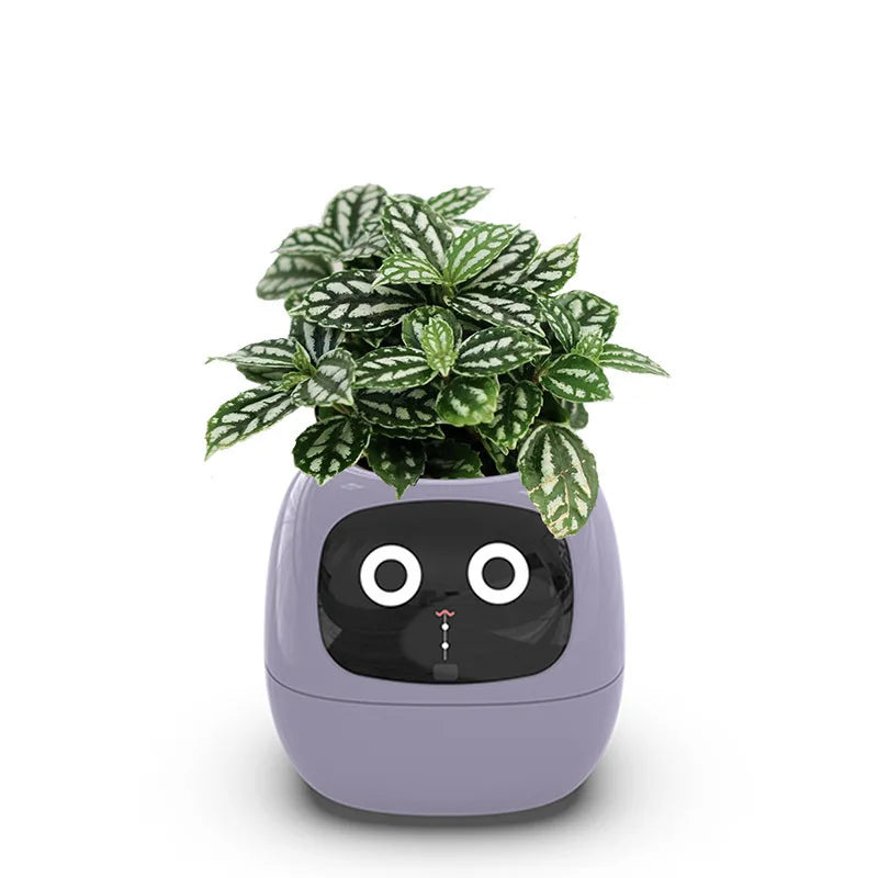 Tu planta más viva y feliz 🌼 Familia Plantopía®