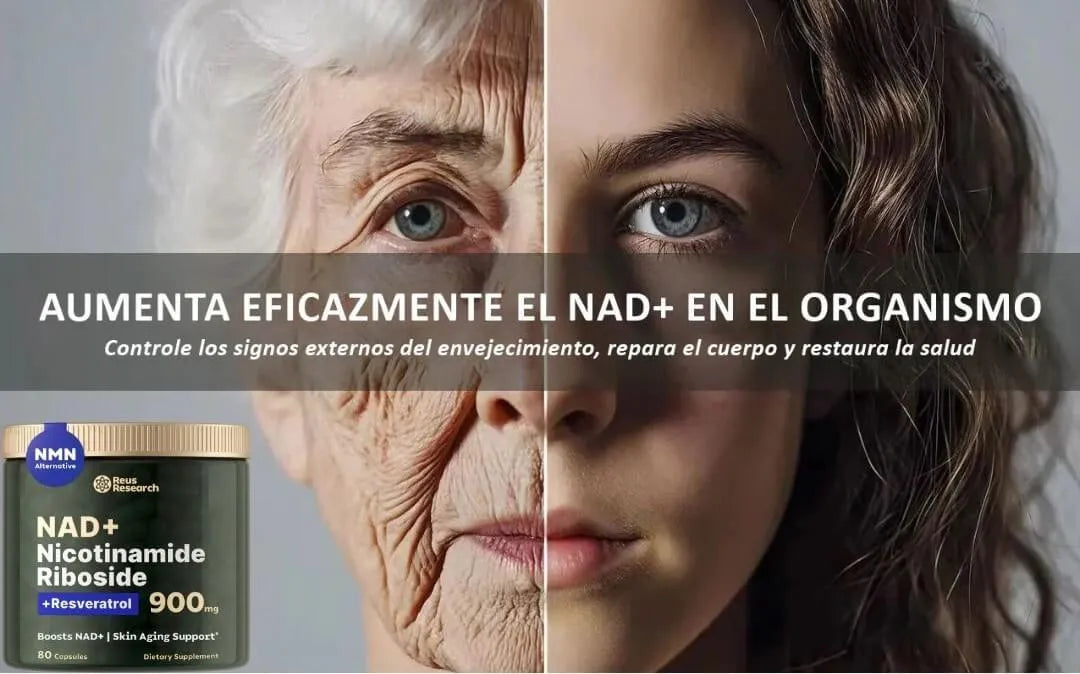 Encabezado