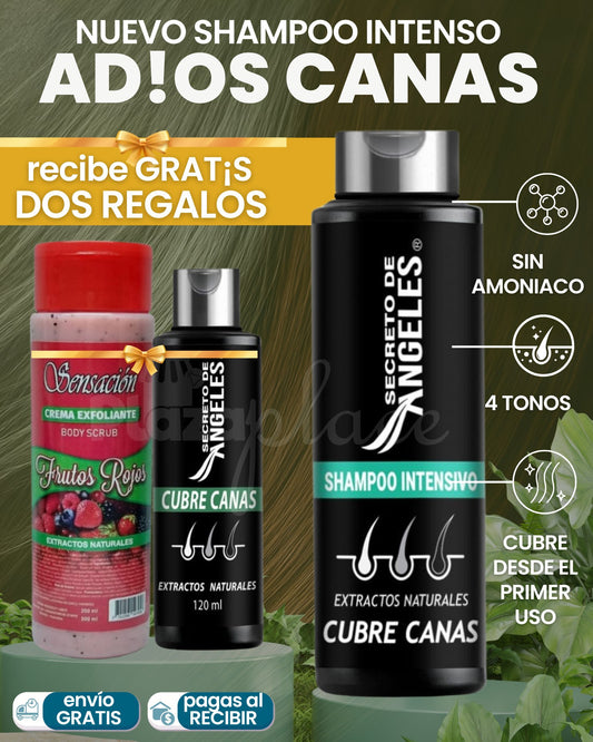 AngelCanes Pro™ - Shampoo + Colágeno Chao Canas - Gratis Exfoliante