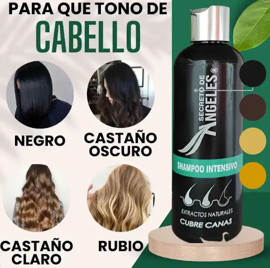 Encabezado