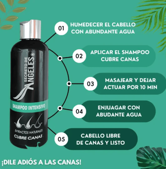 AngelCanes Pro™ - Shampoo + Colágeno Chao Canas - Gratis Exfoliante